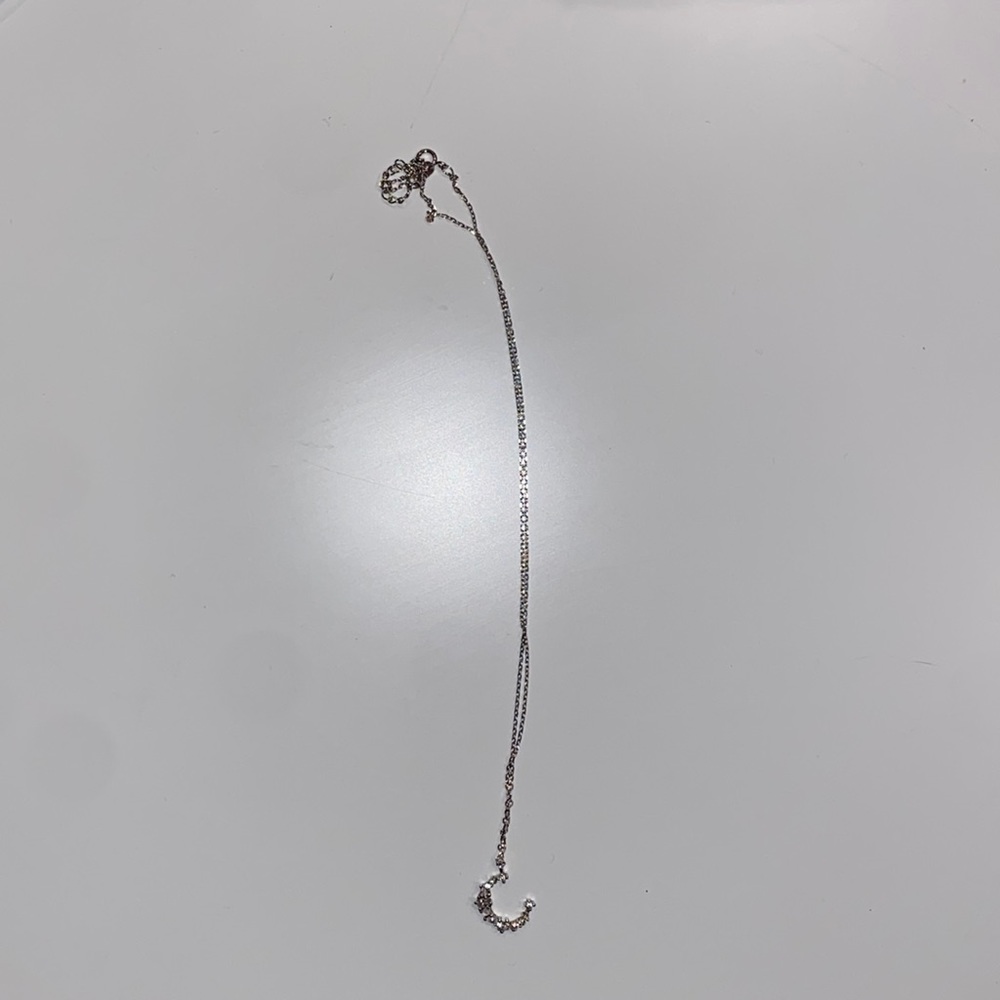 Pandora Silver Necklace (Unsure about the model)